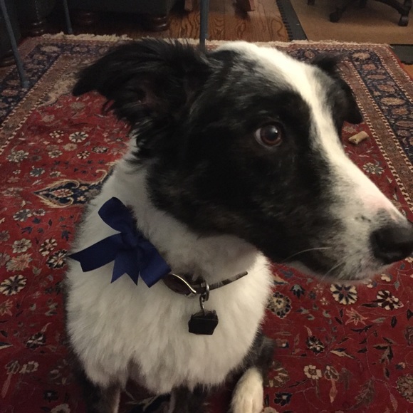 Meet your Posher, Jessica - Picture 4 of 4